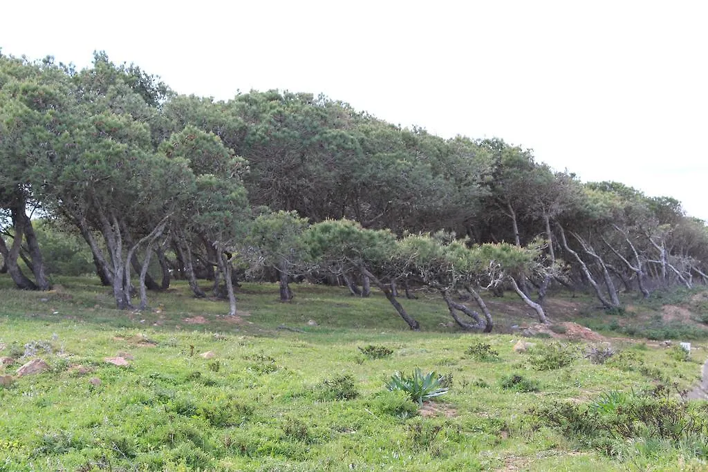 Villa Boa Vista Sul - Terra Da Eira - Raposeira 0*, Vila do Bispo Portugal